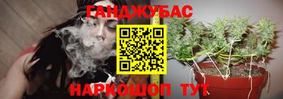 эйфоретик Камень-на-Оби